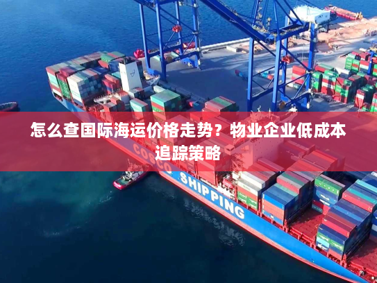 怎么查国际海运价格走势？物业企业低成本追踪策略