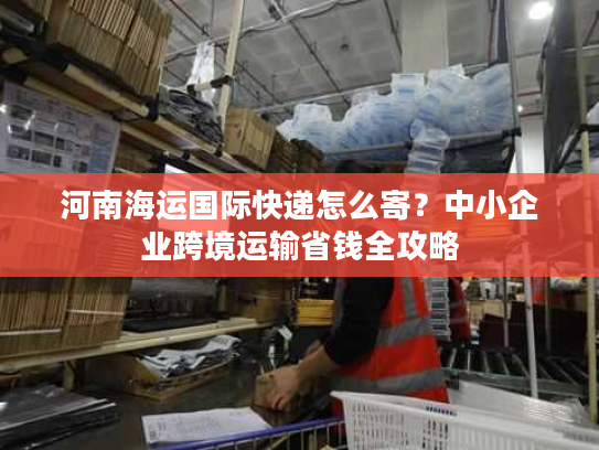 河南海运国际快递怎么寄？中小企业跨境运输省钱全攻略