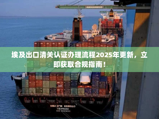 埃及出口清关认证办理流程2025年更新,立即获取合规指南! 埃及出口清关认证办理流程2025年更新,立即获取合规指南!