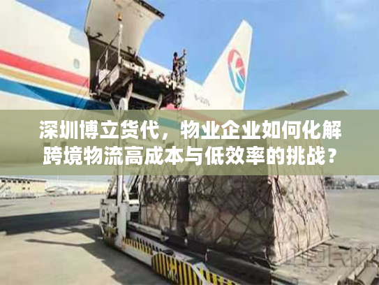 深圳博立货代，物业企业如何化解跨境物流高成本与低效率的挑战？