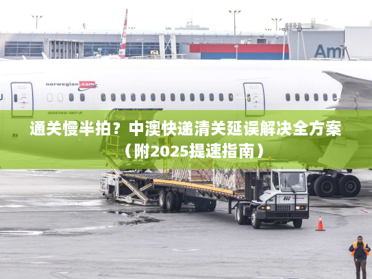 通关慢半拍?中澳快递清关延误解决全方案(附2025提速指南) 通关慢半拍?中澳快递清关延误解决全方案(附2025提速指南)