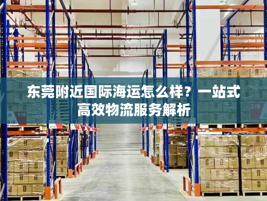 东莞附近国际海运怎么样？一站式高效物流服务解析