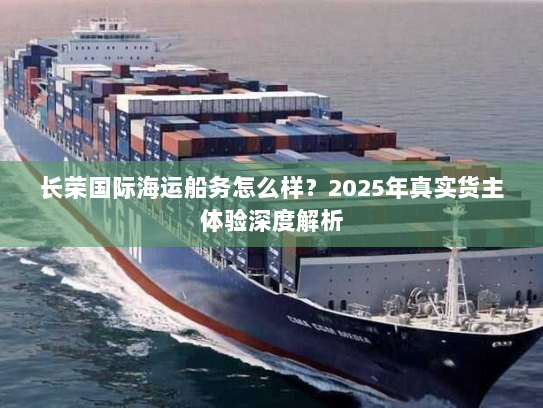长荣国际海运船务怎么样？2025年真实货主体验深度解析