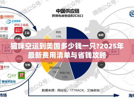 猫咪空运到美国多少钱一只?2025年最新费用清单与省钱攻略 猫咪空运到美国多少钱一只?2025年最新费用清单与省钱攻略