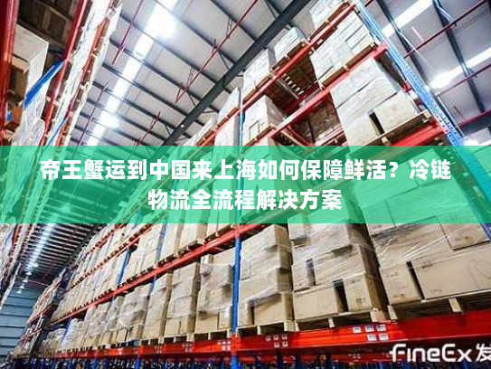 帝王蟹运到中国来上海如何保障鲜活?冷链物流全流程解决方案 帝王蟹运到中国来上海如何保障鲜活?冷链物流全流程解决方案