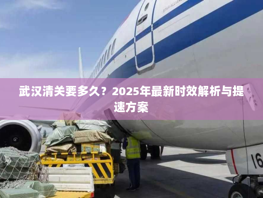 武汉清关要多久？2025年最新时效解析与提速方案