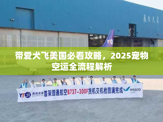 带爱犬飞美国必看攻略,2025宠物空运全流程解析 带爱犬飞美国必看攻略,2025宠物空运全流程解析