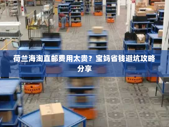 荷兰海淘直邮费用太贵?宝妈省钱避坑攻略分享 荷兰海淘直邮费用太贵?宝妈省钱避坑攻略分享