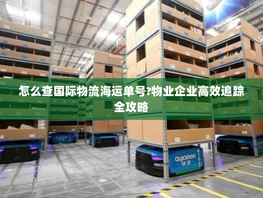 怎么查国际物流海运单号?物业企业高效追踪全攻略 怎么查国际物流海运单号?物业企业高效追踪全攻略