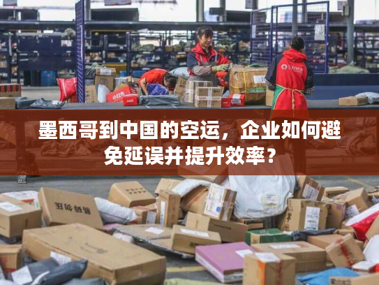 墨西哥到中国的空运,企业如何避免延误并提升效率? 墨西哥到中国的空运,企业如何避免延误并提升效率?