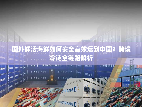 国外鲜活海鲜如何安全高效运到中国?跨境冷链全链路解析 国外鲜活海鲜如何安全高效运到中国?跨境冷链全链路解析