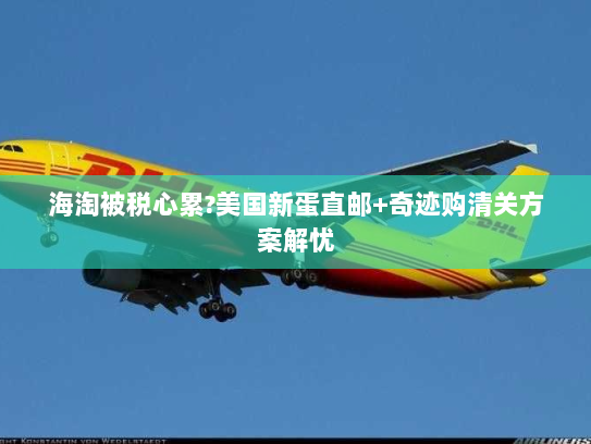 海淘被税心累?美国新蛋直邮+奇迹购清关方案解忧 海淘被税心累?美国新蛋直邮+奇迹购清关方案解忧