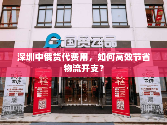 深圳中俄货代费用，如何高效节省物流开支？