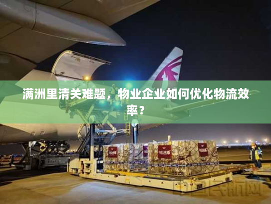 满洲里清关难题,物业企业如何优化物流效率? 满洲里清关难题,物业企业如何优化物流效率?