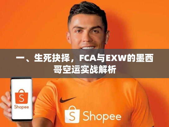 一、生死抉择,FCA与EXW的墨西哥空运实战解析 一、生死抉择,FCA与EXW的墨西哥空运实战解析