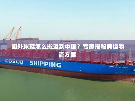 国外球鞋怎么搬运到中国?专家揭秘跨境物流方案 国外球鞋怎么搬运到中国?专家揭秘跨境物流方案