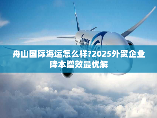 舟山国际海运怎么样?2025外贸企业降本增效最优解