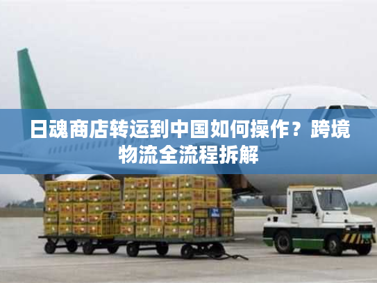 日魂商店转运到中国如何操作？跨境物流全流程拆解