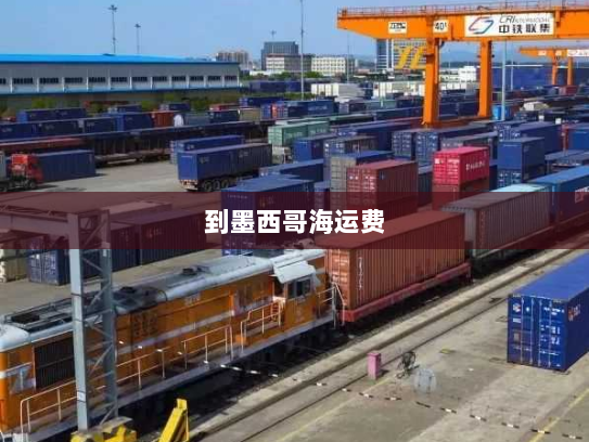 到墨西哥海运费 到墨西哥海运费