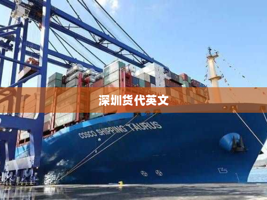 深圳货代英文 深圳货代英文