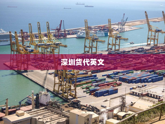 深圳货代英文 深圳货代英文
