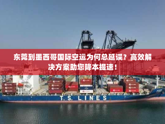 东莞到墨西哥国际空运为何总延误?高效解决方案助您降本提速! 东莞到墨西哥国际空运为何总延误?高效解决方案助您降本提速!