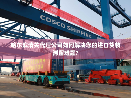 哈尔滨清关代理公司如何解决您的进口货物滞留难题?