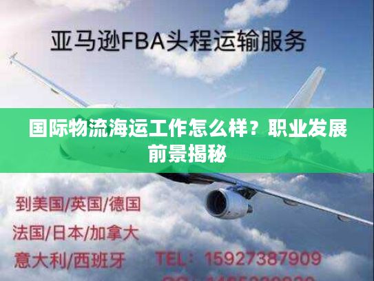 国际物流海运工作怎么样？职业发展前景揭秘