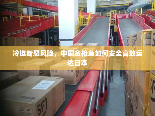 冷链断裂风险，中国金枪鱼如何安全高效运达日本