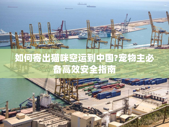 如何寄出猫咪空运到中国?宠物主必备高效安全指南