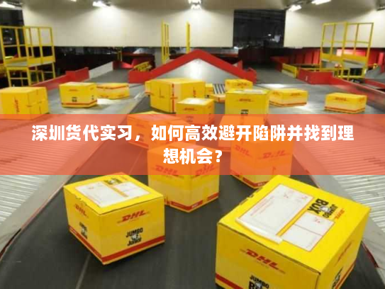 深圳货代实习，如何高效避开陷阱并找到理想机会？