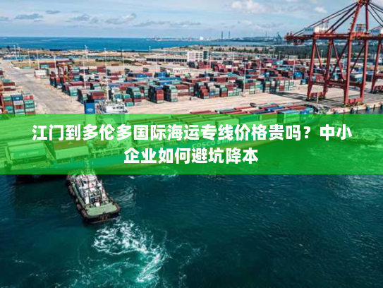 江门到多伦多国际海运专线价格贵吗?中小企业如何避坑降本 江门到多伦多国际海运专线价格贵吗?中小企业如何避坑降本