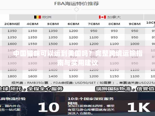 中国猫咪可以运到美国吗?完整跨境运输指南与实用建议 中国猫咪可以运到美国吗?完整跨境运输指南与实用建议