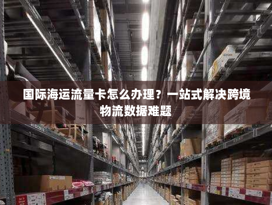国际海运流量卡怎么办理?一站式解决跨境物流数据难题 国际海运流量卡怎么办理?一站式解决跨境物流数据难题