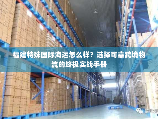 福建特殊国际海运怎么样?选择可靠跨境物流的终极实战手册 福建特殊国际海运怎么样?选择可靠跨境物流的终极实战手册