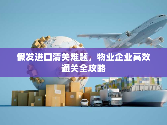 假发进口清关难题,物业企业高效通关全攻略 假发进口清关难题,物业企业高效通关全攻略