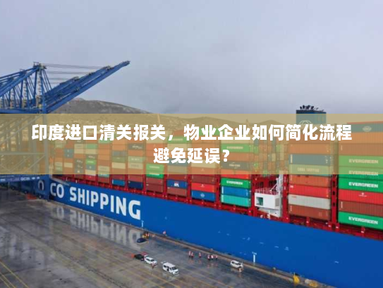 印度进口清关报关，物业企业如何简化流程避免延误？