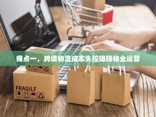 痛点一,跨境物流成本失控阻碍物业运营 痛点一,跨境物流成本失控阻碍物业运营