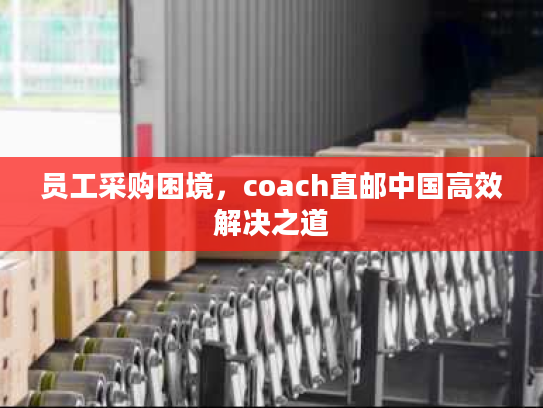 员工采购困境,coach直邮中国高效解决之道 员工采购困境,coach直邮中国高效解决之道