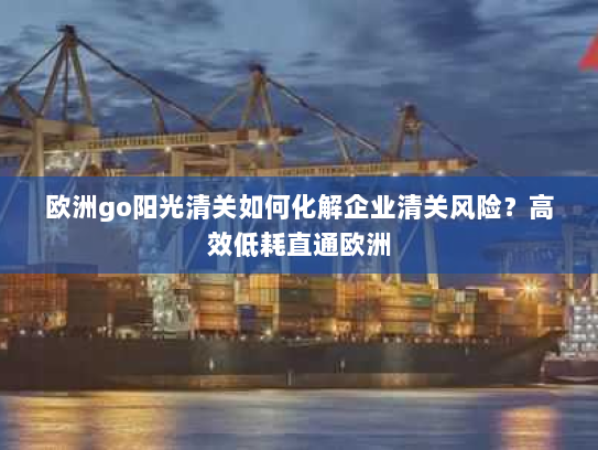 欧洲go阳光清关如何化解企业清关风险？高效低耗直通欧洲