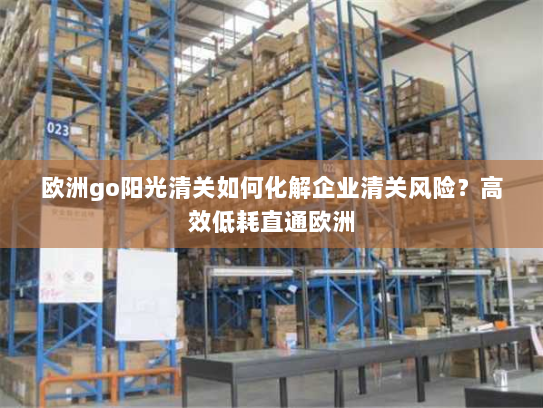 欧洲go阳光清关如何化解企业清关风险？高效低耗直通欧洲
