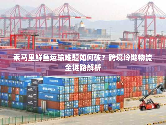 索马里鲜鱼运输难题如何破？跨境冷链物流全链路解析