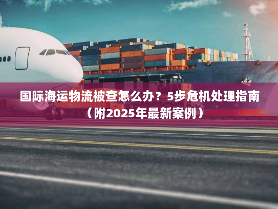 国际海运物流被查怎么办?5步危机处理指南(附2025年最新案例) 国际海运物流被查怎么办?5步危机处理指南(附2025年最新案例)