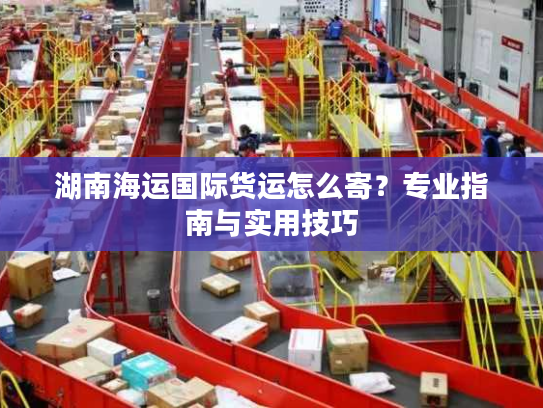 湖南海运国际货运怎么寄?专业指南与实用技巧 湖南海运国际货运怎么寄?专业指南与实用技巧