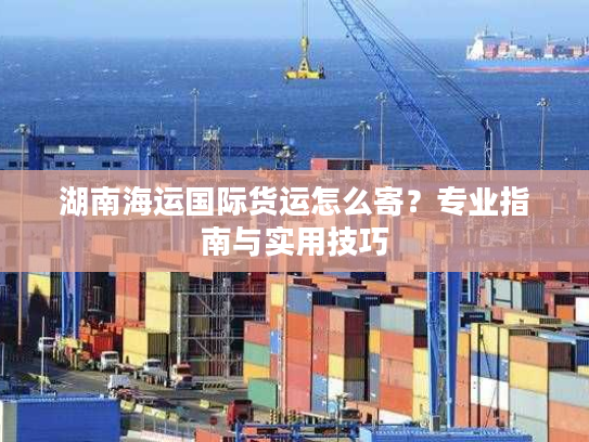 湖南海运国际货运怎么寄?专业指南与实用技巧 湖南海运国际货运怎么寄?专业指南与实用技巧