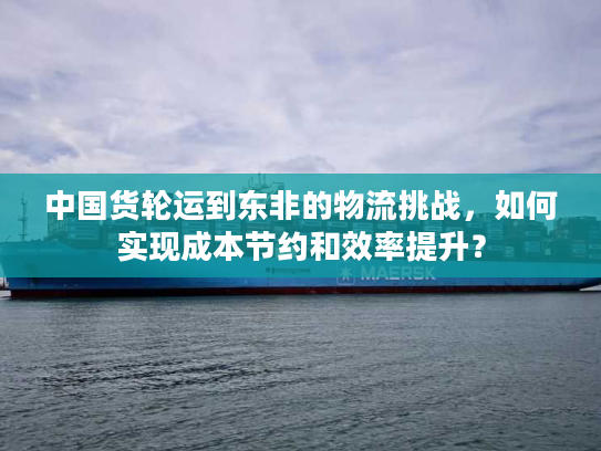中国货轮运到东非的物流挑战，如何实现成本节约和效率提升？