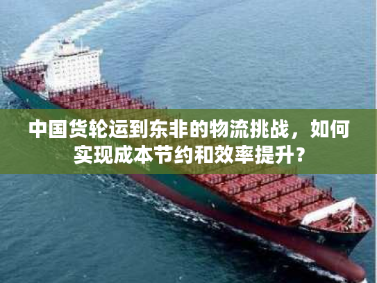 中国货轮运到东非的物流挑战，如何实现成本节约和效率提升？