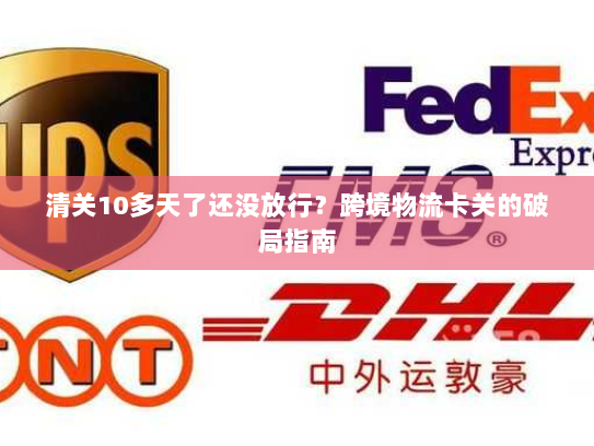 清关10多天了还没放行?跨境物流卡关的破局指南 清关10多天了还没放行?跨境物流卡关的破局指南