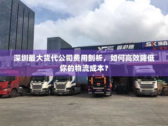 深圳最大货代公司费用剖析,如何高效降低你的物流成本? 深圳最大货代公司费用剖析,如何高效降低你的物流成本?