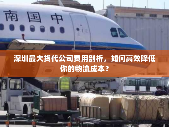 深圳最大货代公司费用剖析,如何高效降低你的物流成本? 深圳最大货代公司费用剖析,如何高效降低你的物流成本?